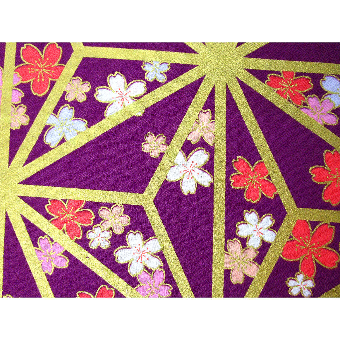 1026-140-1 和柄30アムンゼン金 麻の葉と桜 | 北高