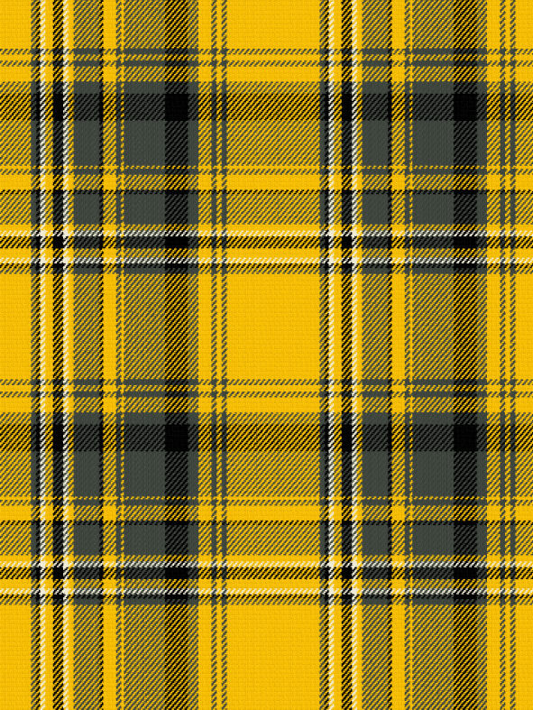 ゆかり 様写真チェック 結月ゆかり 穏 モデル / 執事眼鏡eyemirror ONLINE SHOP