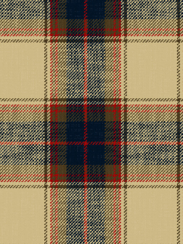 3542 スラブチェック [メーターカット] | 桑村繊維 | テキスタイルネット