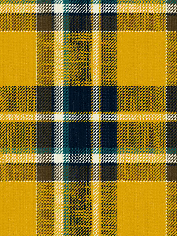 3542 スラブチェック [メーターカット] | 桑村繊維 | テキスタイルネット