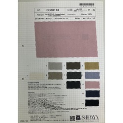 50/1タイプライターＧrungeSulfurdyed